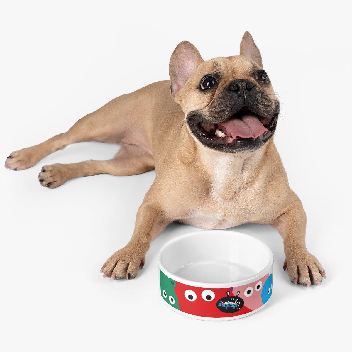 Animal Language Pet Bowl